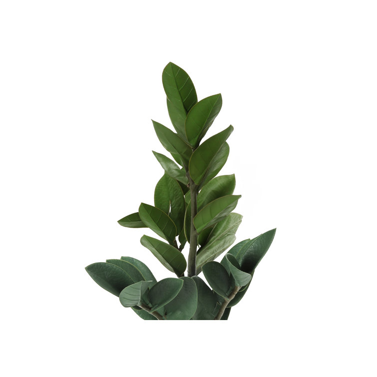 Primrue Mccormick 20'' Faux Zz Plant in Cement Pot Wayfair Canada